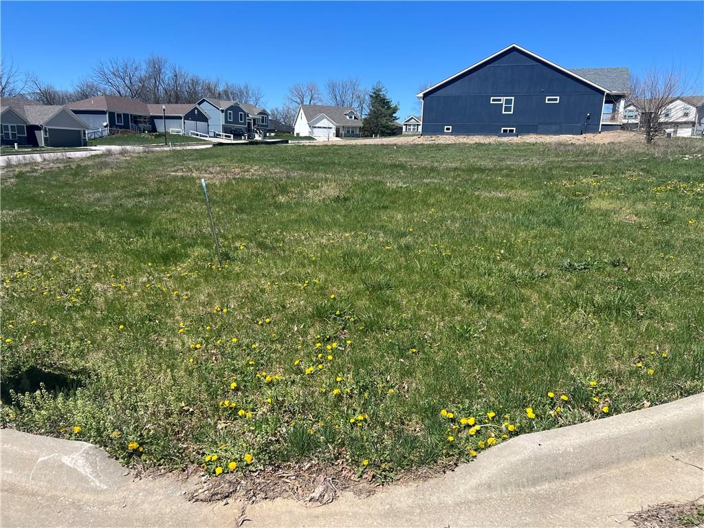 Listing Photo MLS #HMS2321218