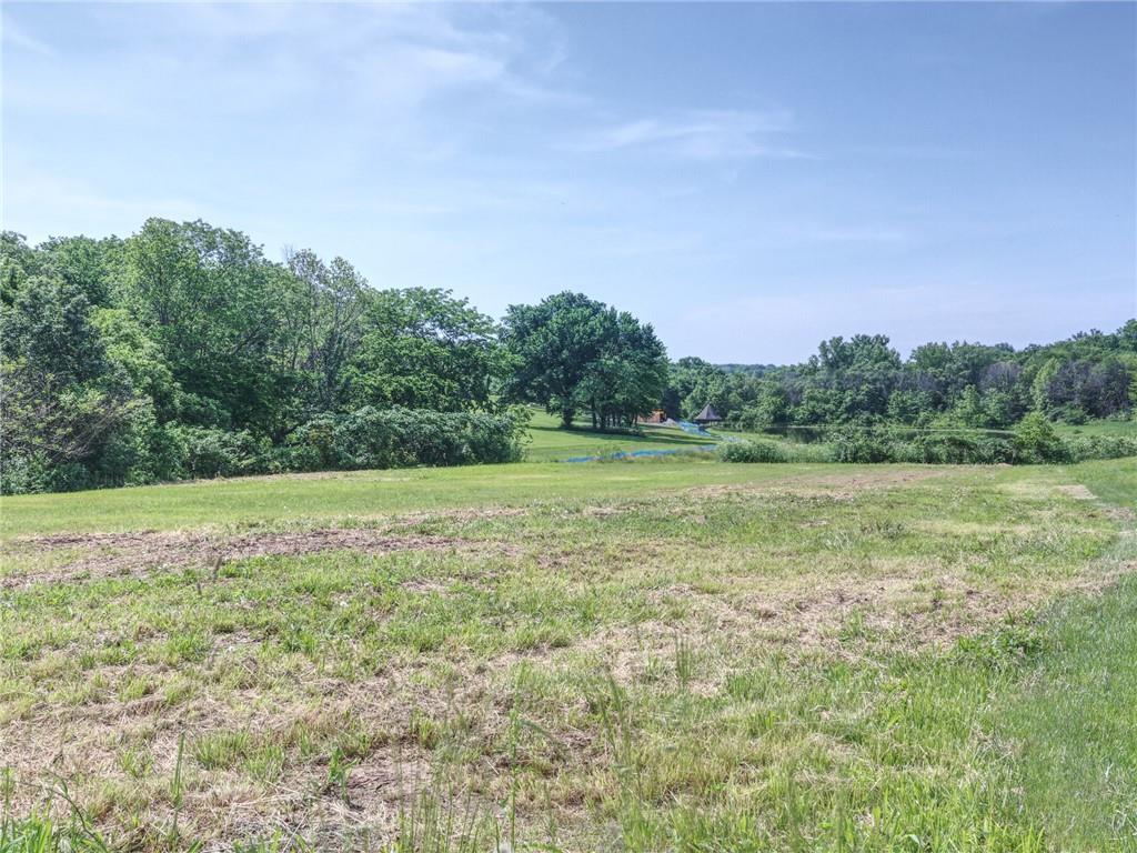 Listing Photo MLS #HMS2350176