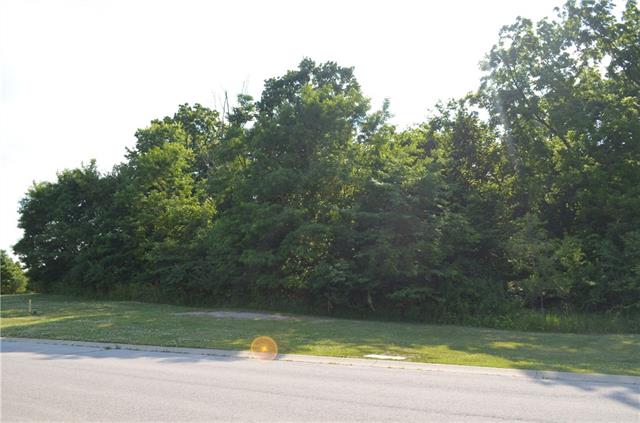 Listing Photo MLS #HMS2395868