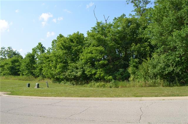 Listing Photo MLS #HMS2395873