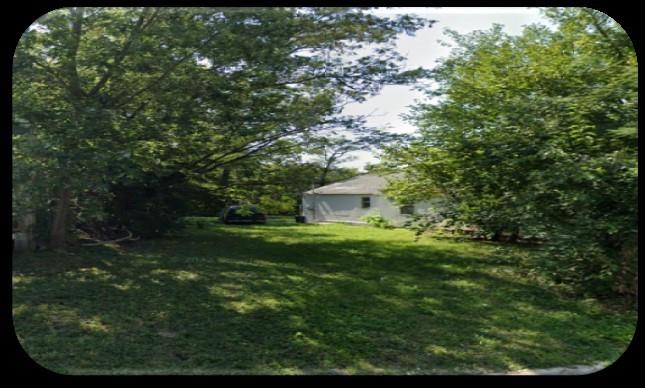 Listing Photo MLS #HMS2490073