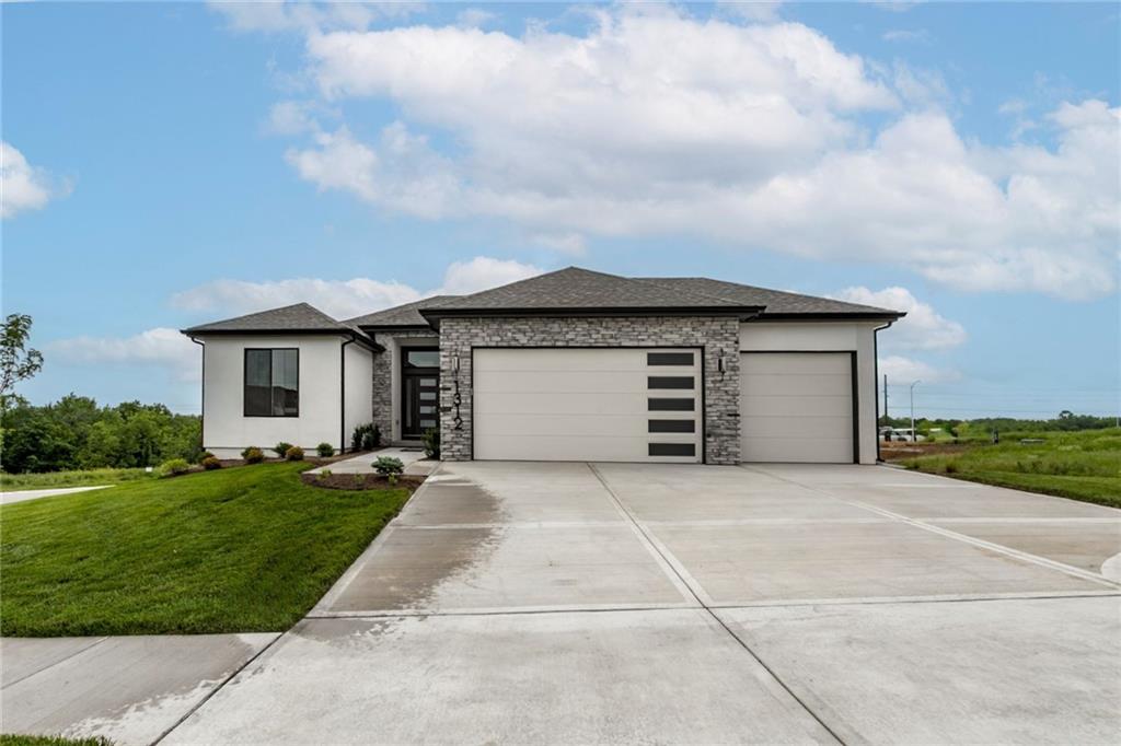 Listing Photo MLS #HMS2523724