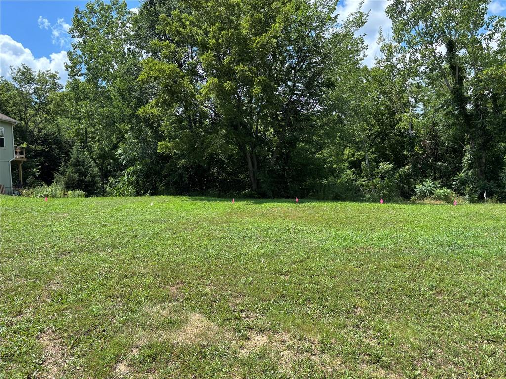 Listing Photo MLS #HMS2530862