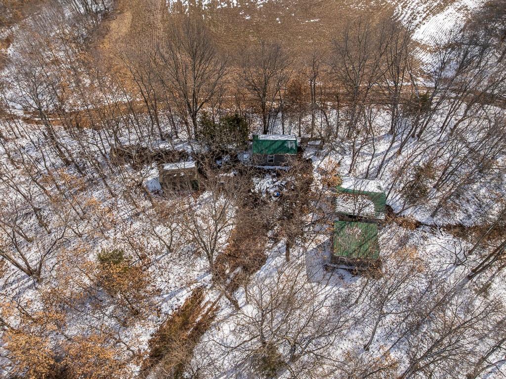 Listing Photo MLS #HMS2535923