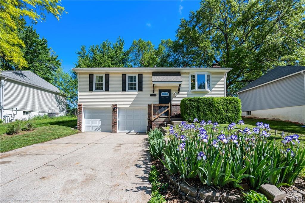 Listing Photo MLS #HMS2541527