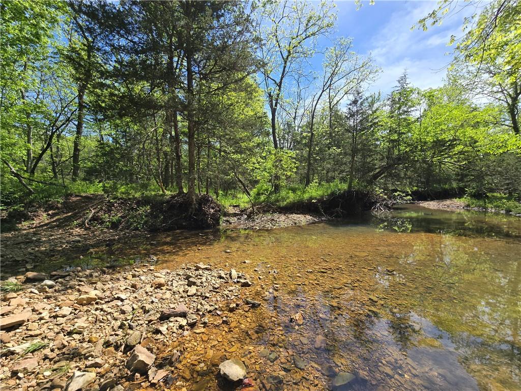 Listing Photo MLS #HMS2544646