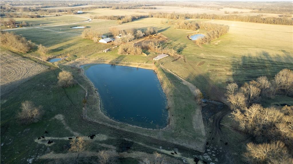 Listing Photo MLS #HMS2546666