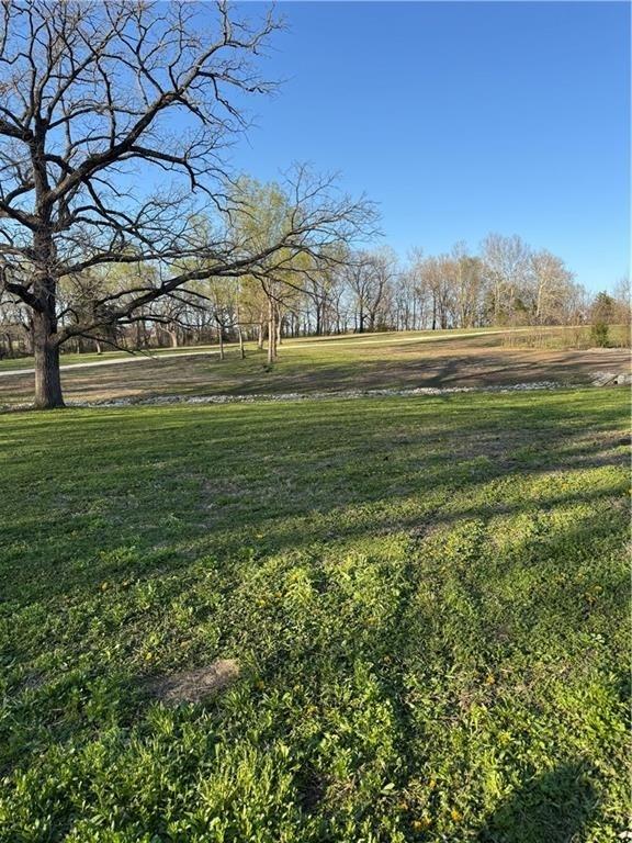 Listing Photo MLS #HMS2549107