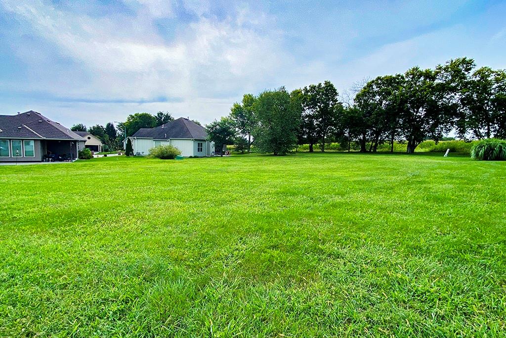 Listing Photo MLS #HMS2550253