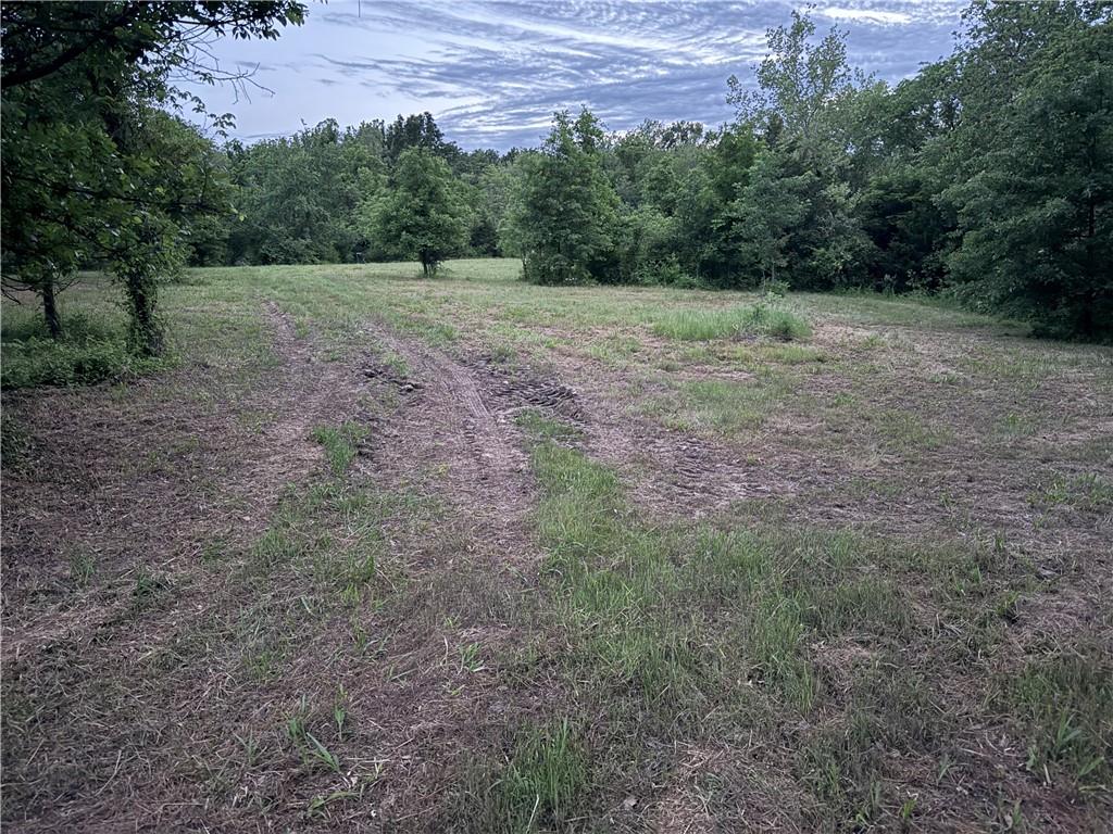 Listing Photo MLS #HMS2550288