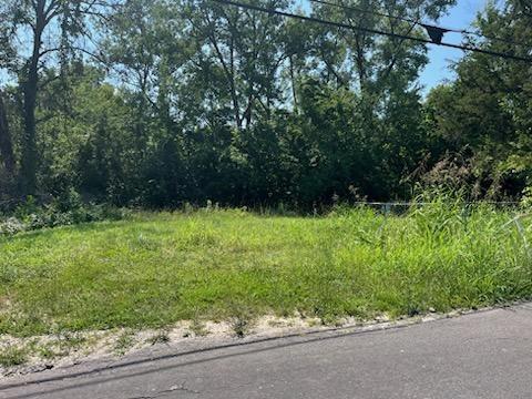 Listing Photo MLS #HMS2551248