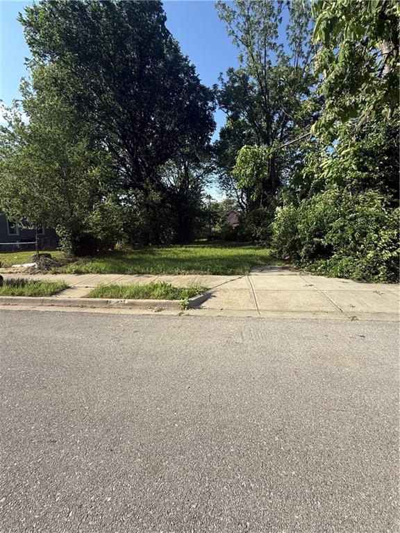 Listing Photo MLS #HMS2551272