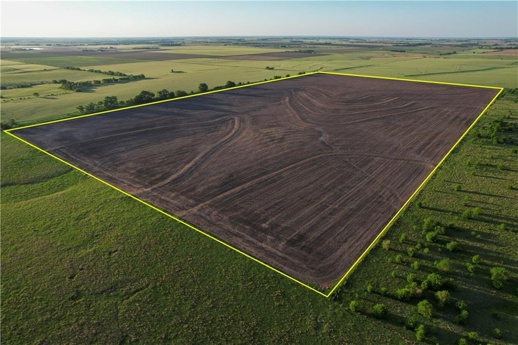 Listing Photo MLS #HMS2551293
