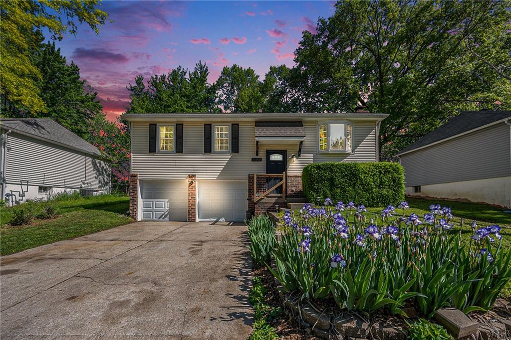 Listing Photo MLS #HMS2556047