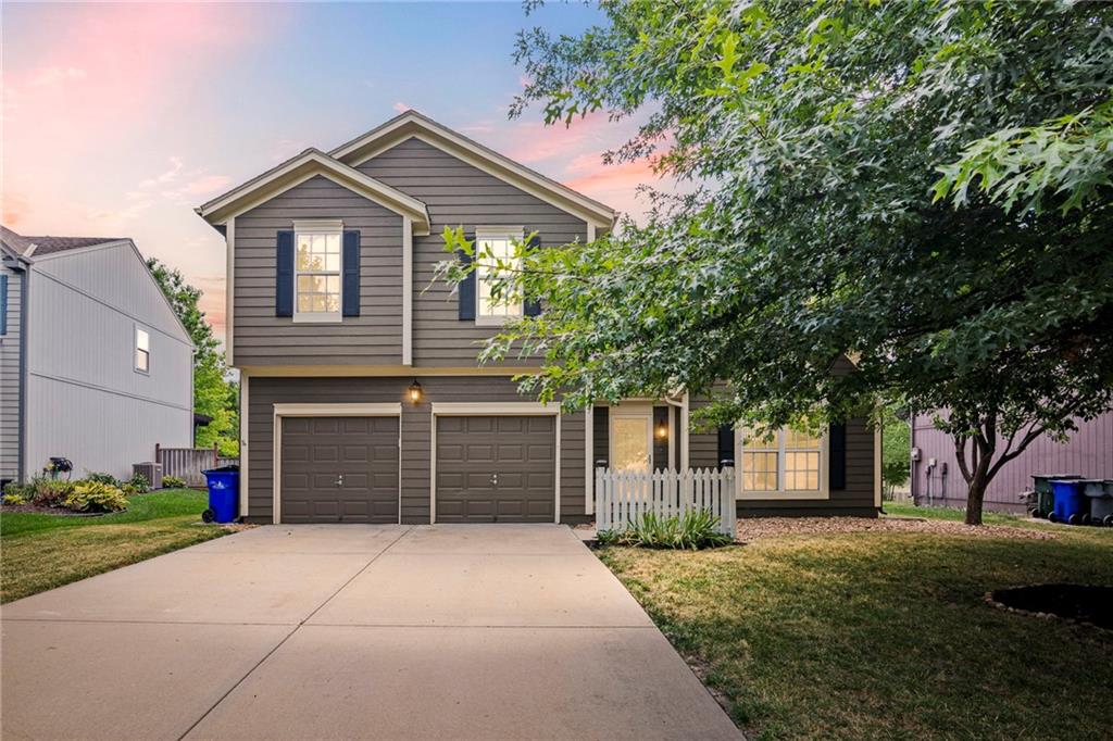 Listing Photo MLS #HMS2559846
