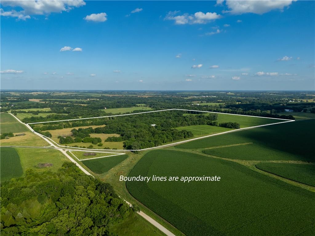Listing Photo MLS #HMS2559850