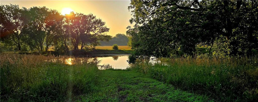 Listing Photo MLS #HMS2560039