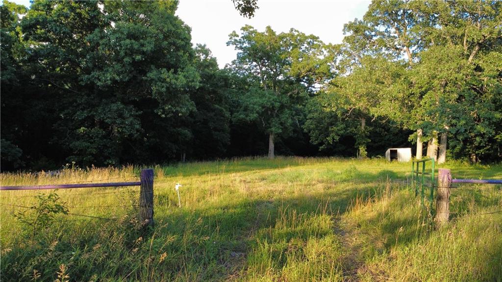 Listing Photo MLS #HMS2562038