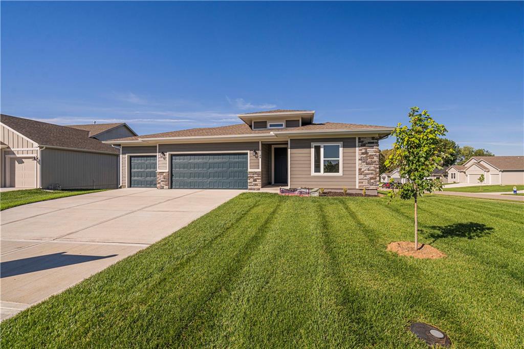 Listing Photo MLS #HMS2562317