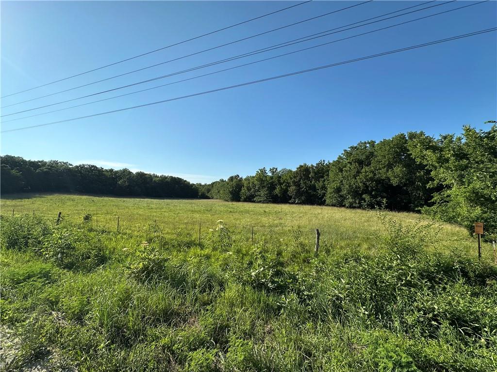 Listing Photo MLS #HMS2562849