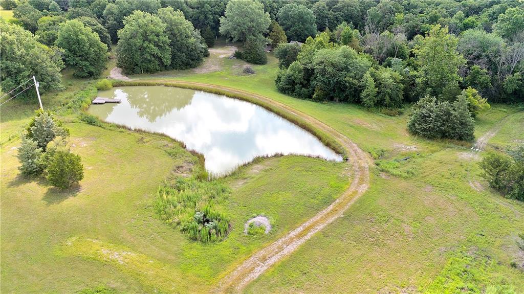 Listing Photo MLS #HMS2562951