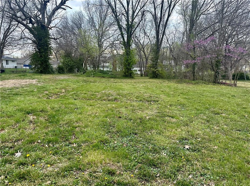 Listing Photo MLS #HMS2563144