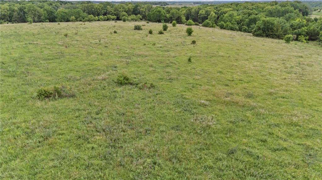 Listing Photo MLS #HMS2565207