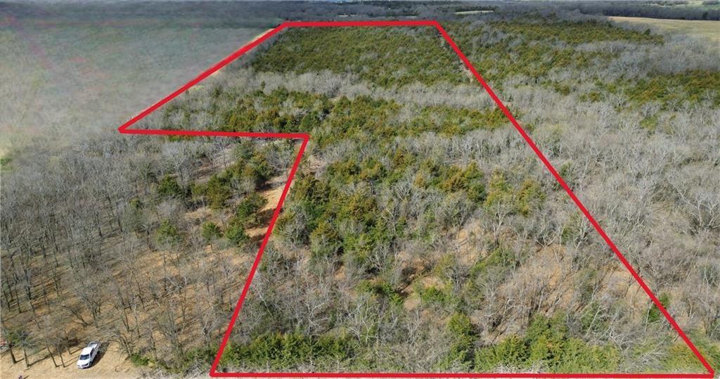 Listing Photo MLS #HMS2565400