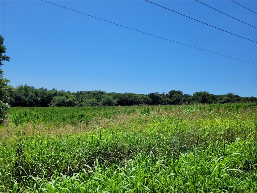 Listing Photo MLS #HMS2566395
