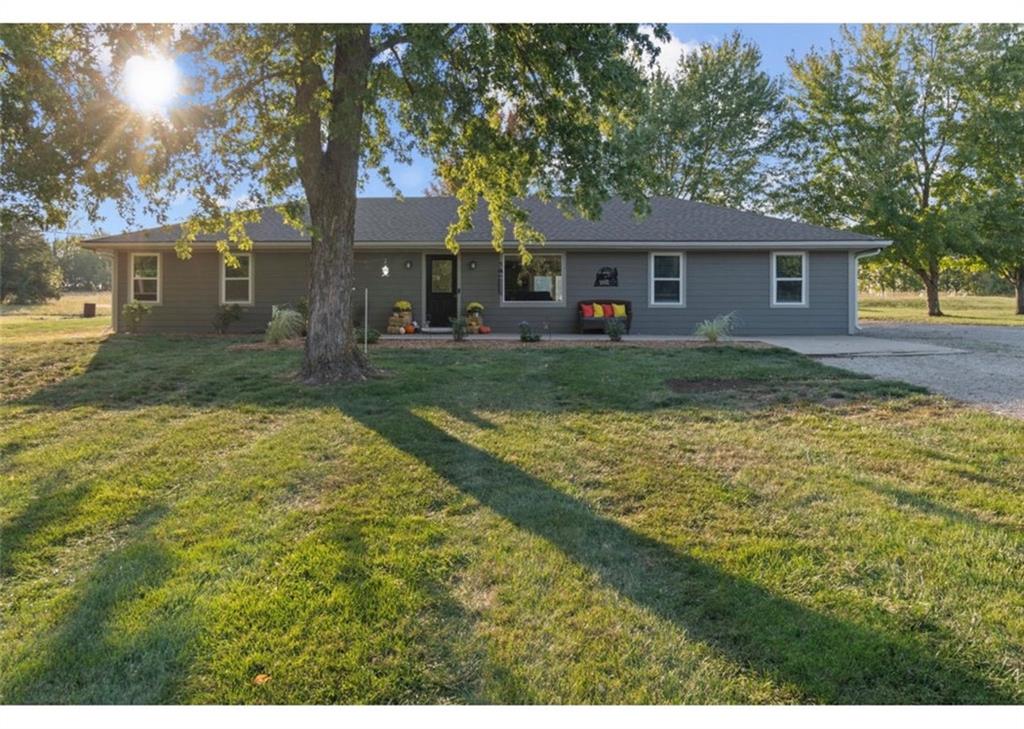 Listing Photo MLS #HMS2567259