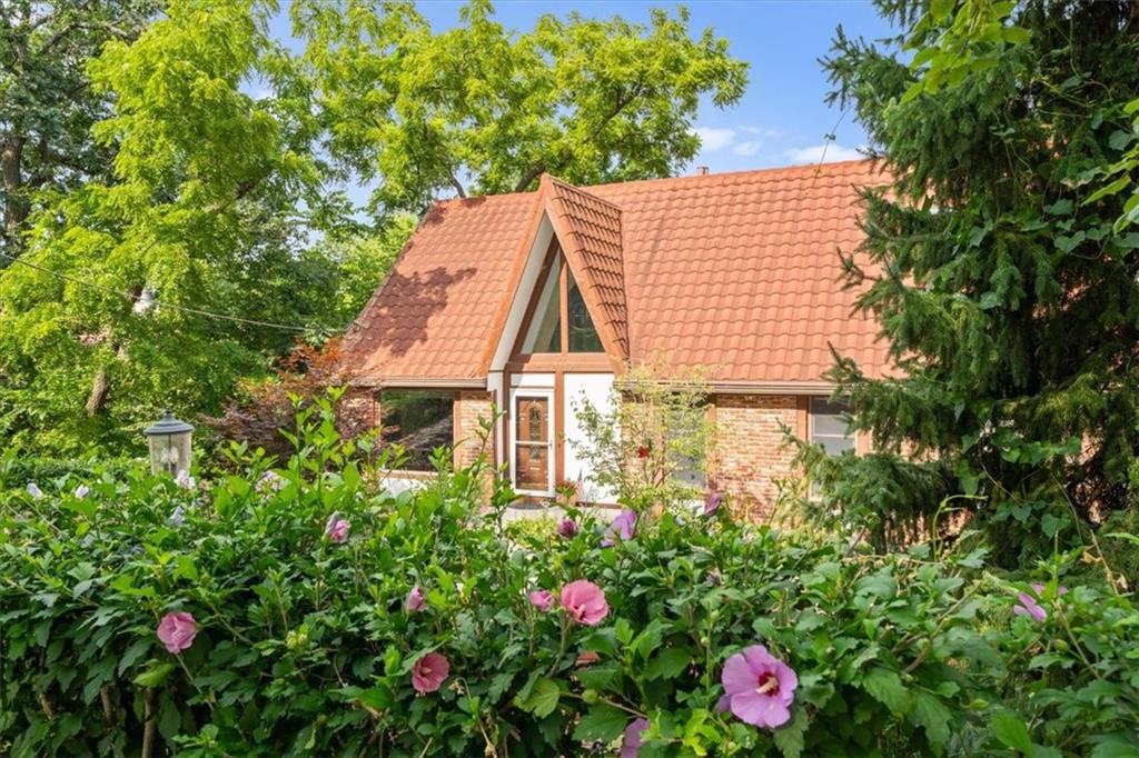 Listing Photo MLS #HMS2567782