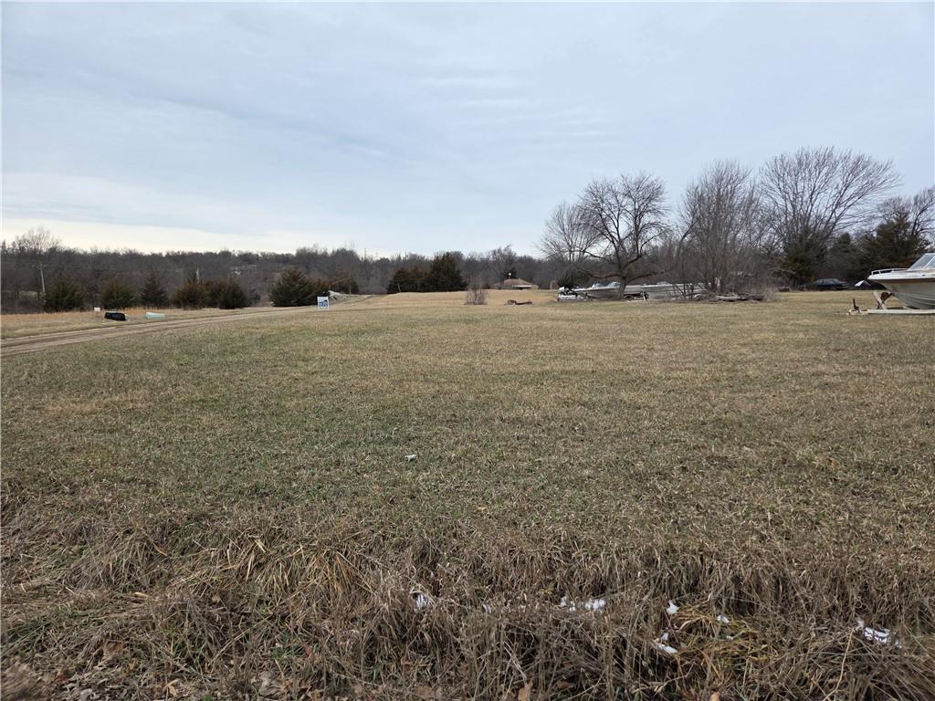 Listing Photo MLS #HMS2567828