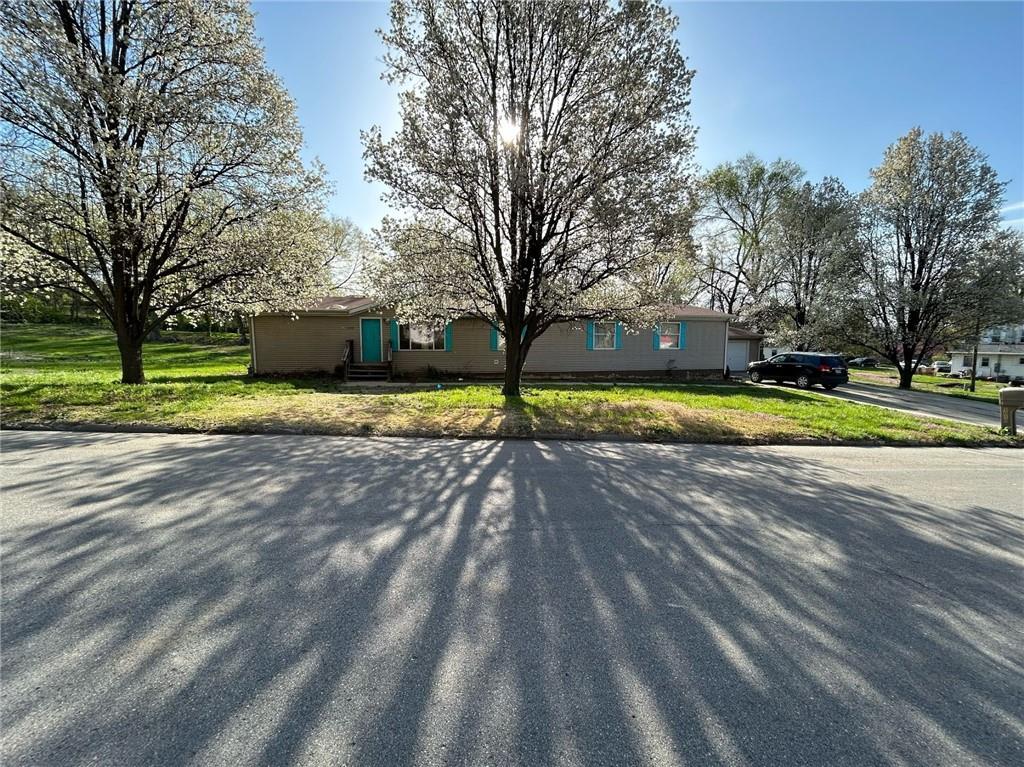 Listing Photo MLS #HMS2567848