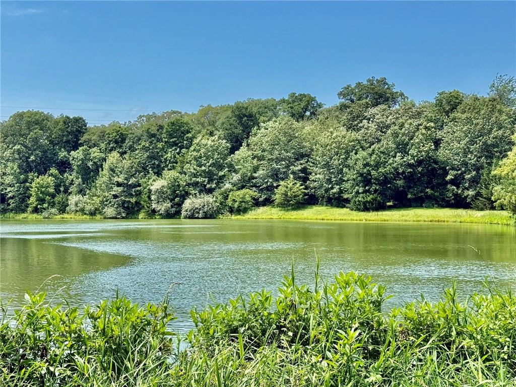 Listing Photo MLS #HMS2567886