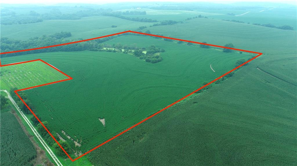 Listing Photo MLS #HMS2569712