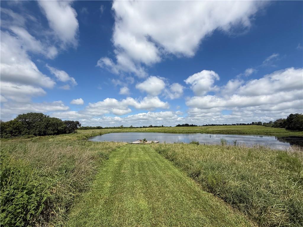 Listing Photo MLS #HMS2570374