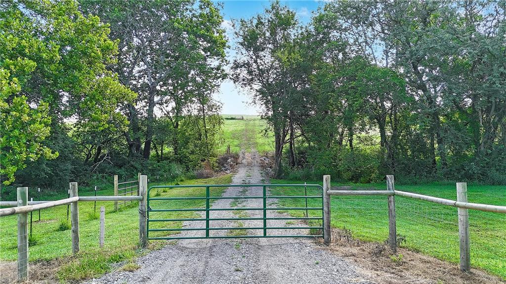 Listing Photo MLS #HMS2570469
