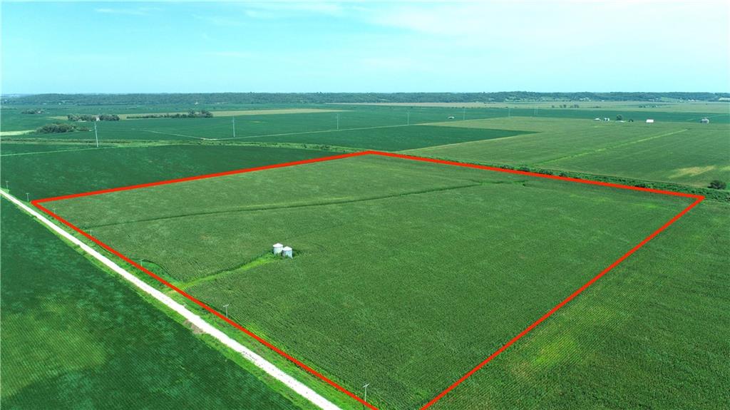 Listing Photo MLS #HMS2570489