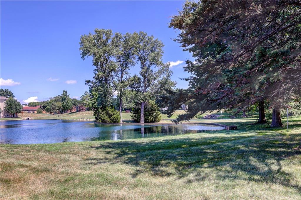Listing Photo MLS #HMS2571522