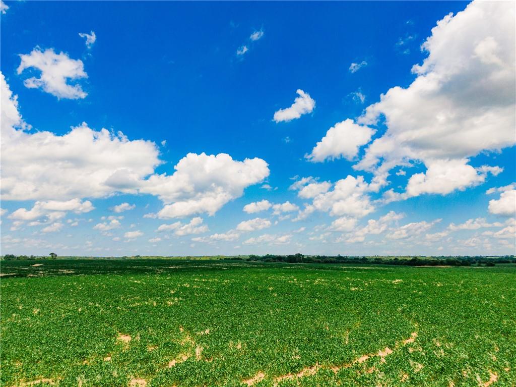 Listing Photo MLS #HMS2571695