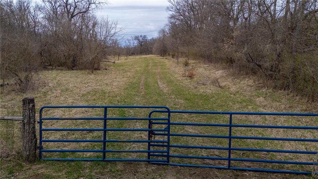 Listing Photo MLS #HMS2571826