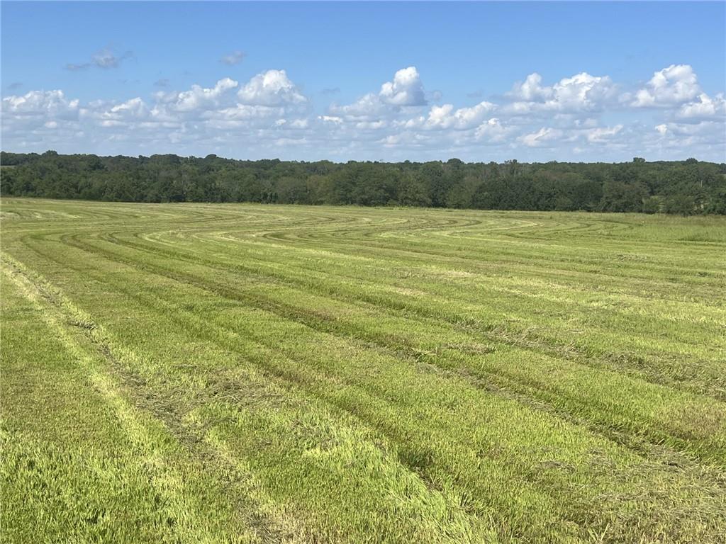 Listing Photo MLS #HMS2572062