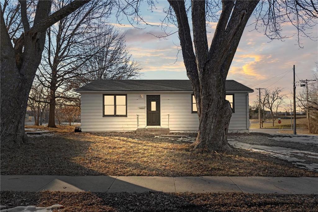 Listing Photo MLS #HMS2572224