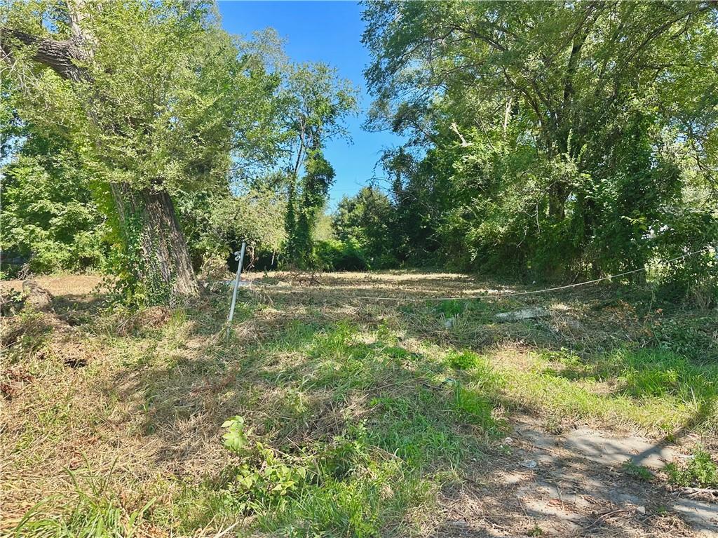 Listing Photo MLS #HMS2573761
