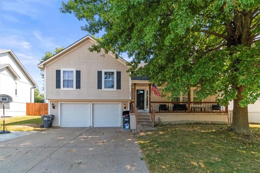 Listing Photo MLS #HMS2573859