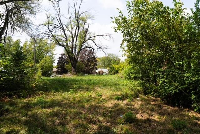Listing Photo MLS #HMS2574491