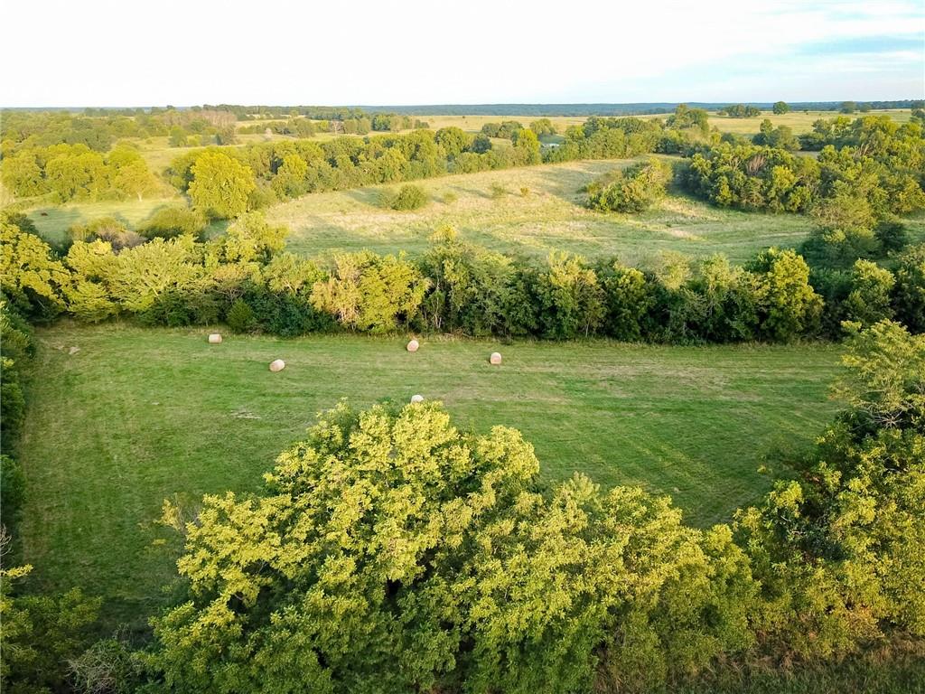 Listing Photo MLS #HMS2574492