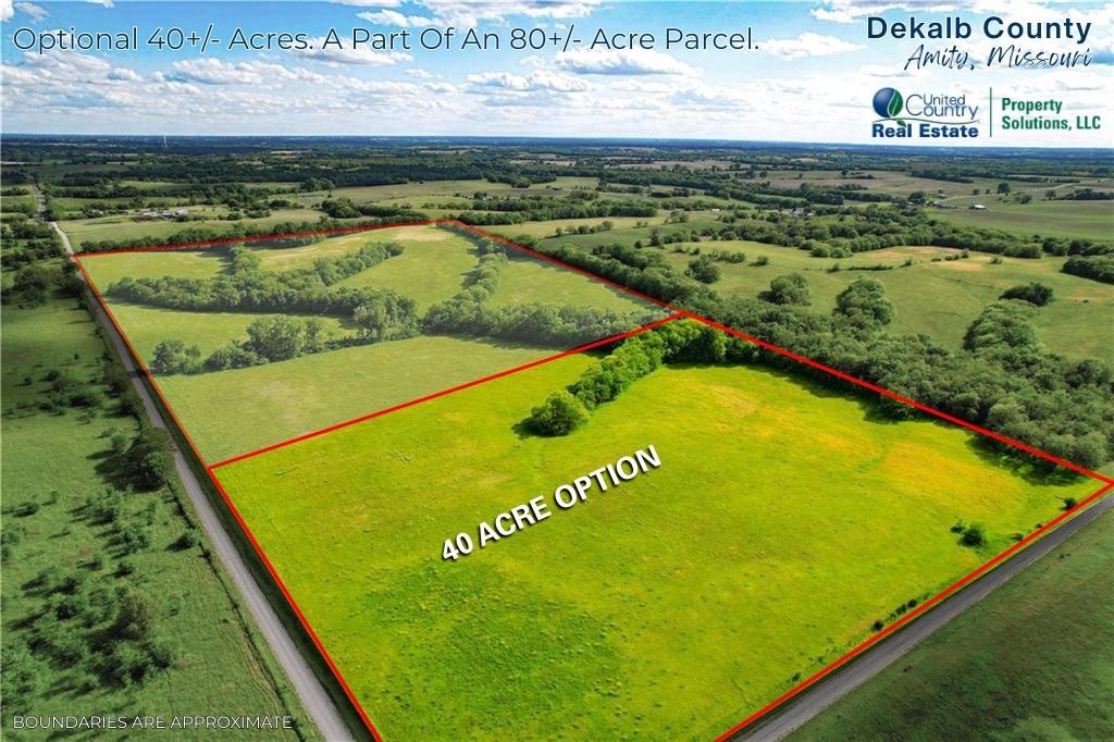 Listing Photo MLS #HMS2574563