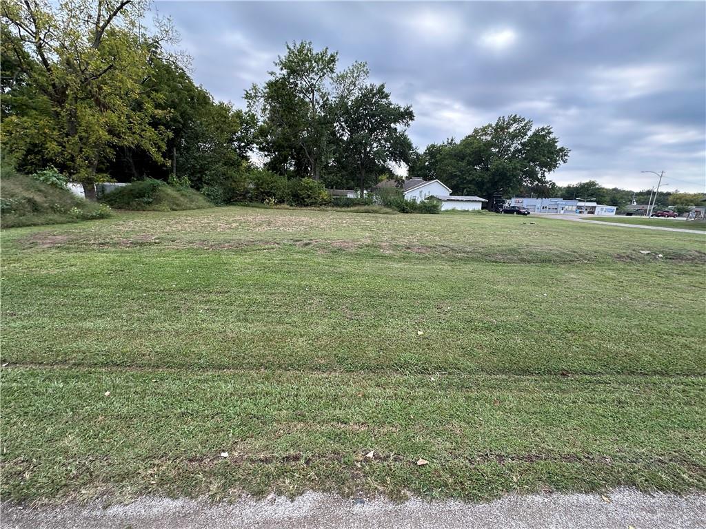 Listing Photo MLS #HMS2575045