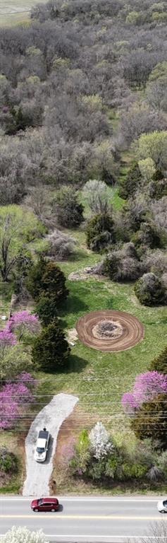 Listing Photo MLS #HMS2575172